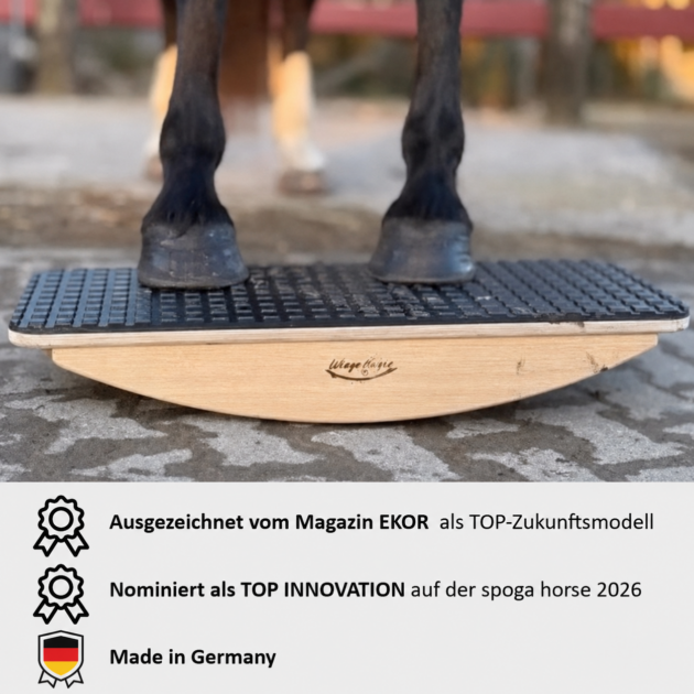 Pferdewiege von Waltraud Wolf