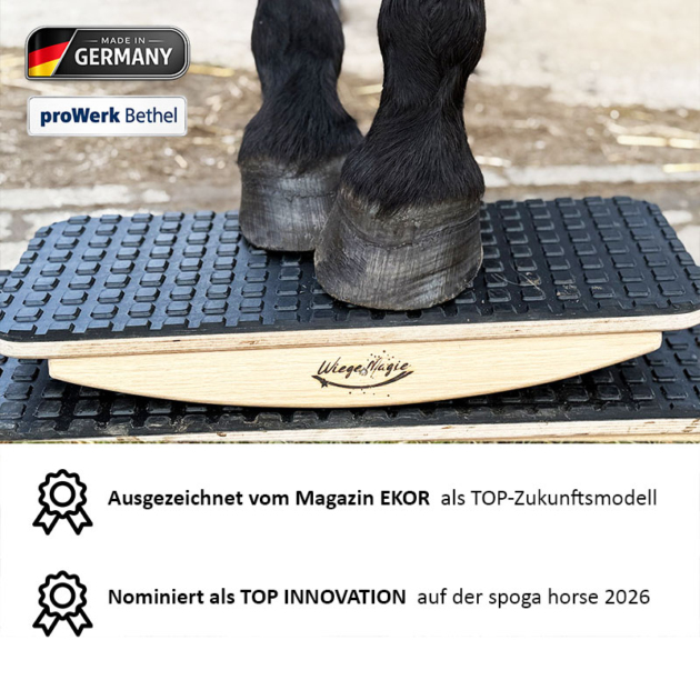 PferdeWiege Könner