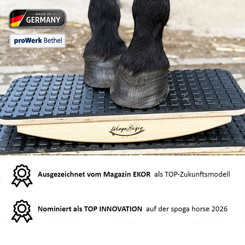 PferdeWiege Könner