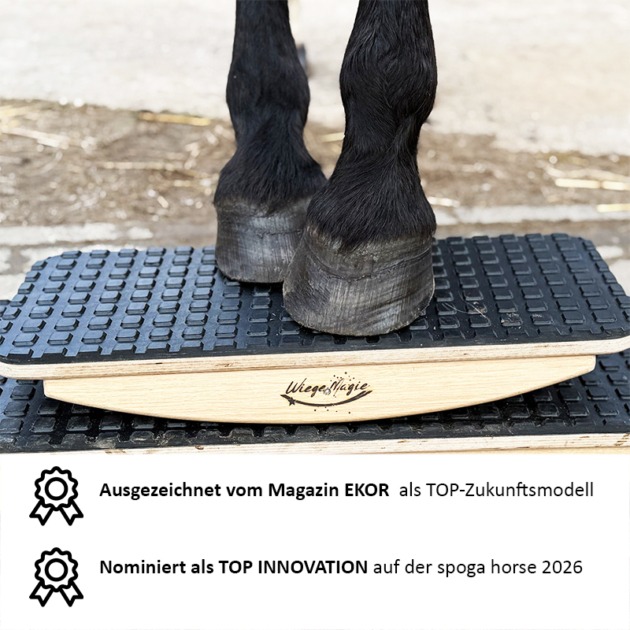 Pferdewippe für Fortgeschrittene