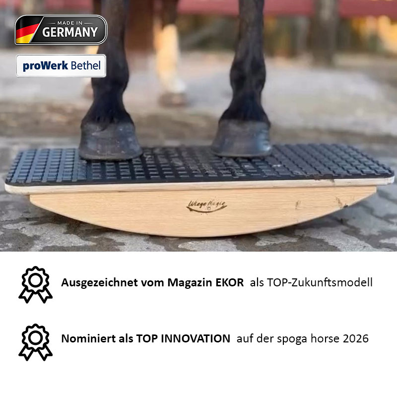 Pferdewiege Basic von Waltraud Wolf