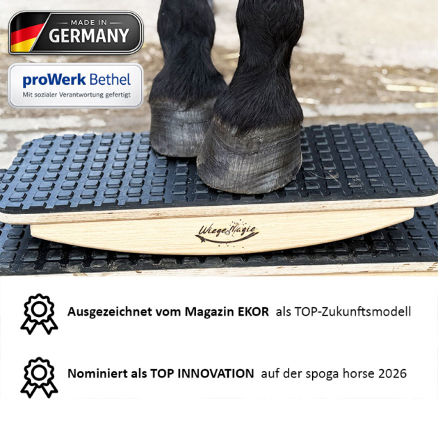 PferdeWiege Könner