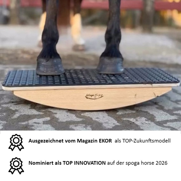 Pferdewippe von WiegeMagie