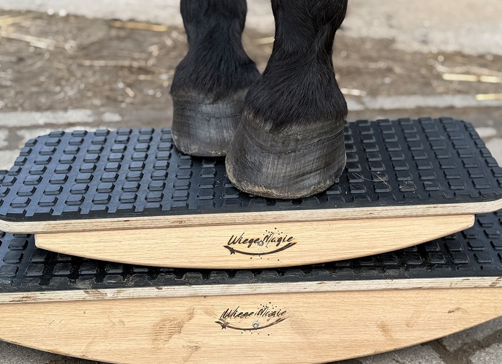 Pferd steht auf zwei Wiegen