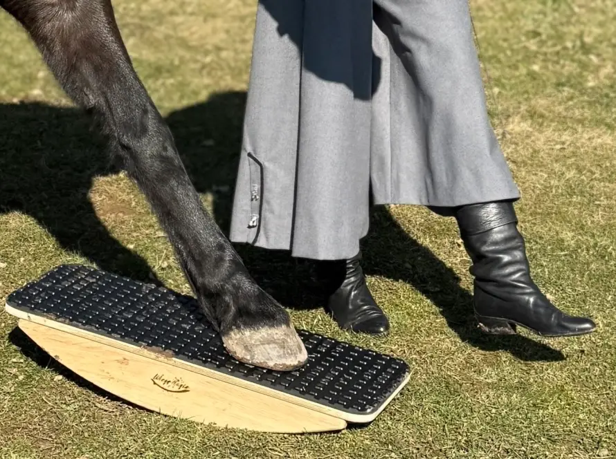 Waltraud Wolf übt auf der Wiege mit dem Pferd