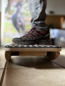 Demonstration der Pferdewiege