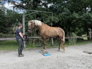 Tagesseminar in Reken