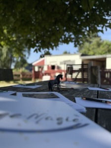 Tagesseminar in Wuppertal