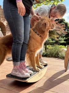 Die Wiege im Einsatz in Südbrookmerland