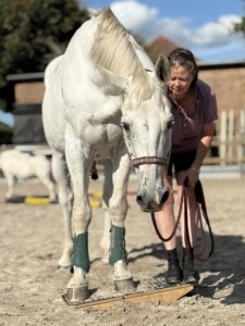 Seminar in Südbrookmerland