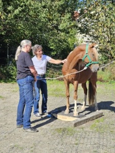 Seminar in Dischingen