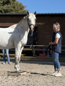 WiegeMagie in Südbrookmerland