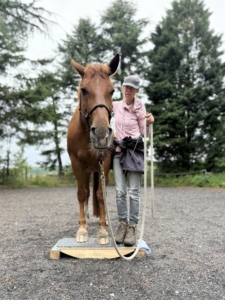 Teilnehmerin mit Pferd in Ronsdorf