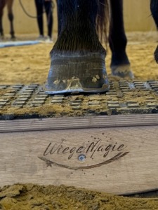 WiegeMagie in Obernburg am Main