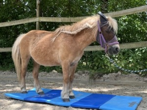 Seminar in Wuppertal