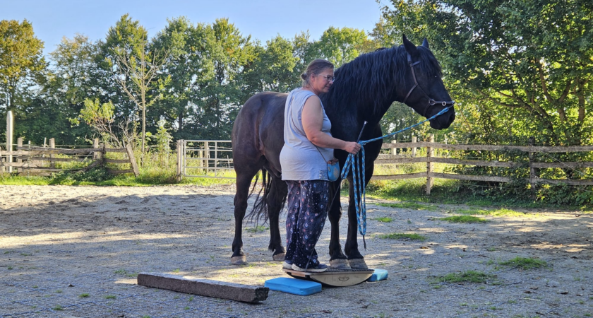 Erfolgsbericht Pferd auf der Pferdewippe