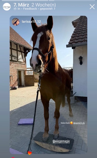 WiegeMagie hilft bei einem Weideunfall