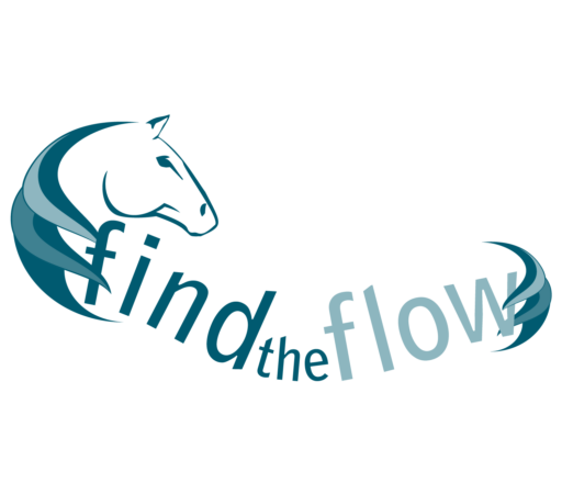 Logo FindTheFlow