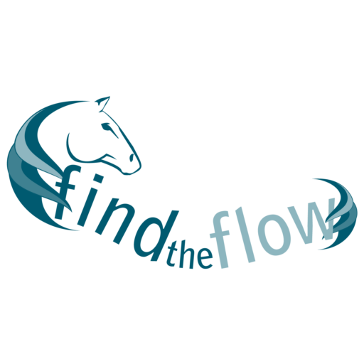 Logo FindTheFlow