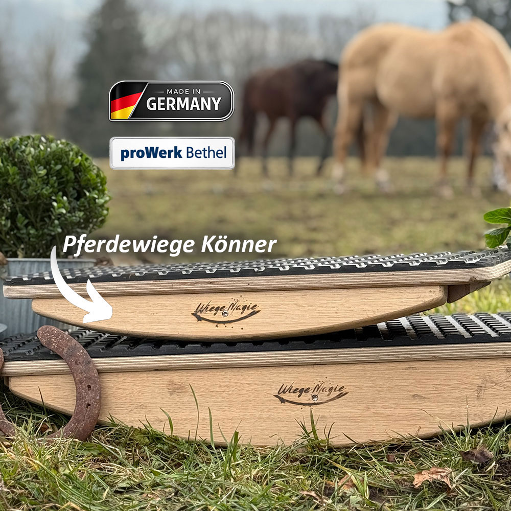 Pferdewiege Könner von Waltraud Wolf